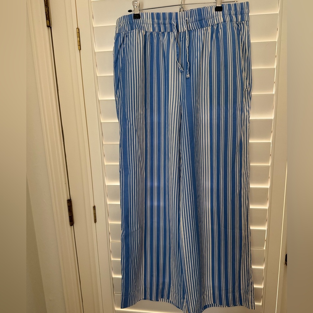 Everlane Tencel Wide-Leg Pant - L